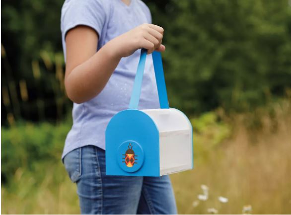 Beetle and Bee Critter Case