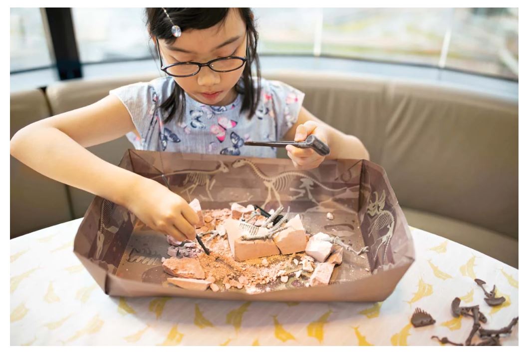 Dig A Dinosaur Skeleton - Tyrannosaurus Rex