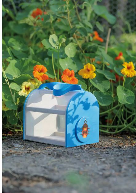 Beetle and Bee Critter Case