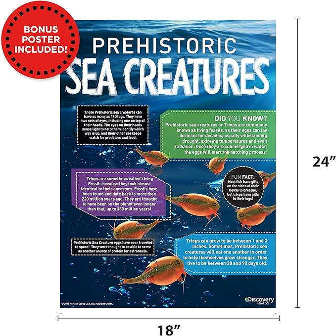 Discovery: Prehistoric Sea Creatures