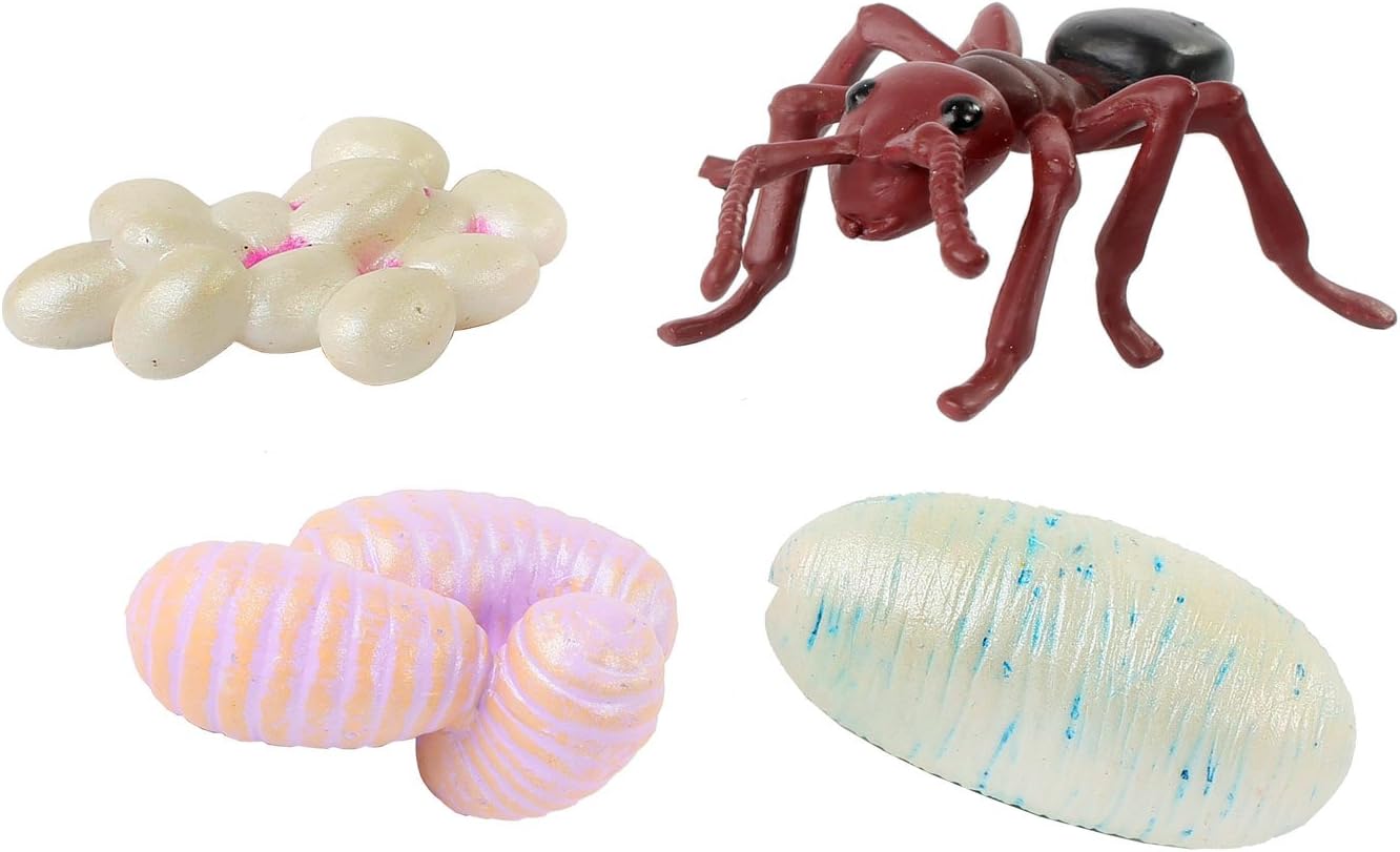 Life Cycle Figurines: Ant