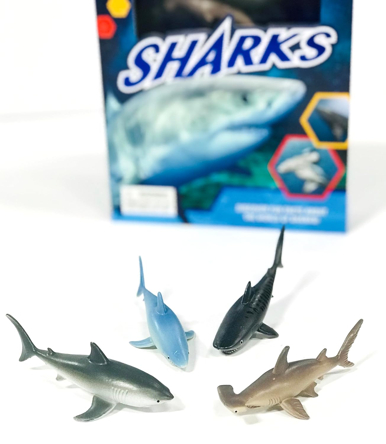 Sharks: Pocket Explorers