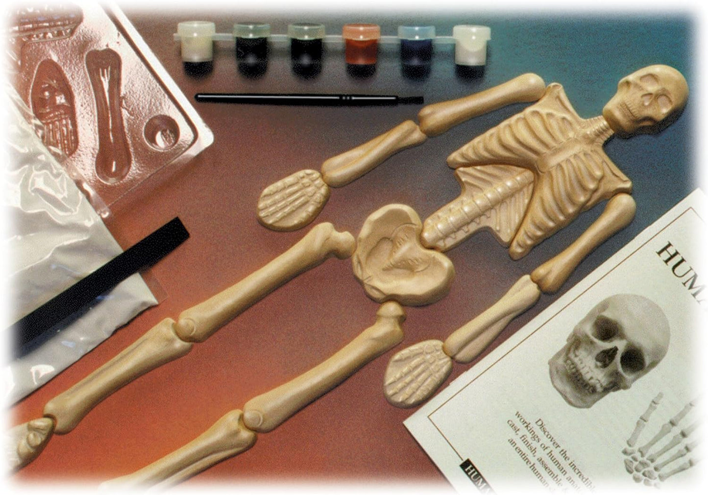 Eyewitness Humanworks