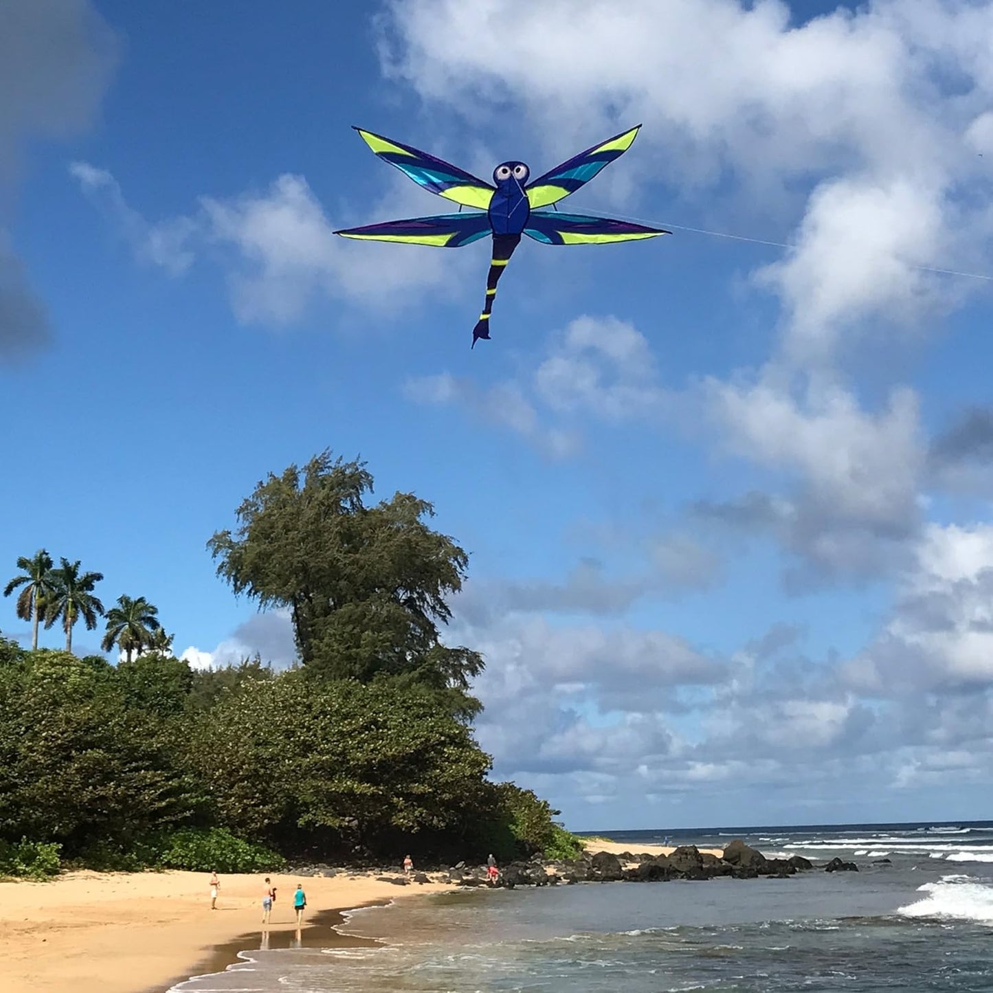 Aurora Dragonfly Kite