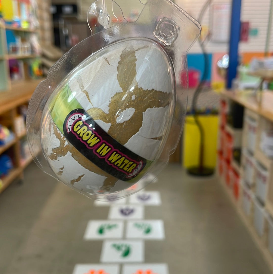 Mini dinosaur grow egg