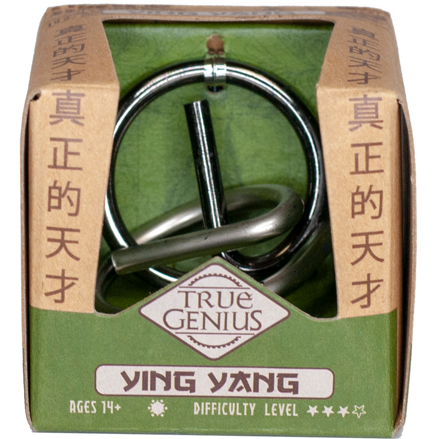 Yin Yang Brain Teaser