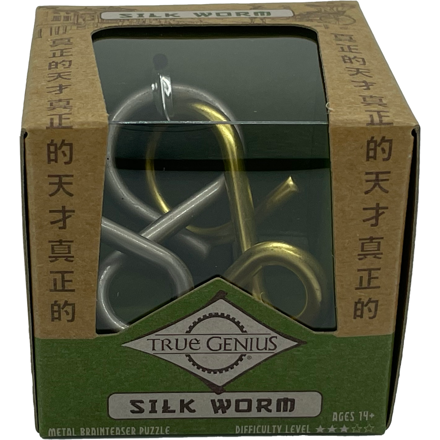 Silk Worm Brain Teaser