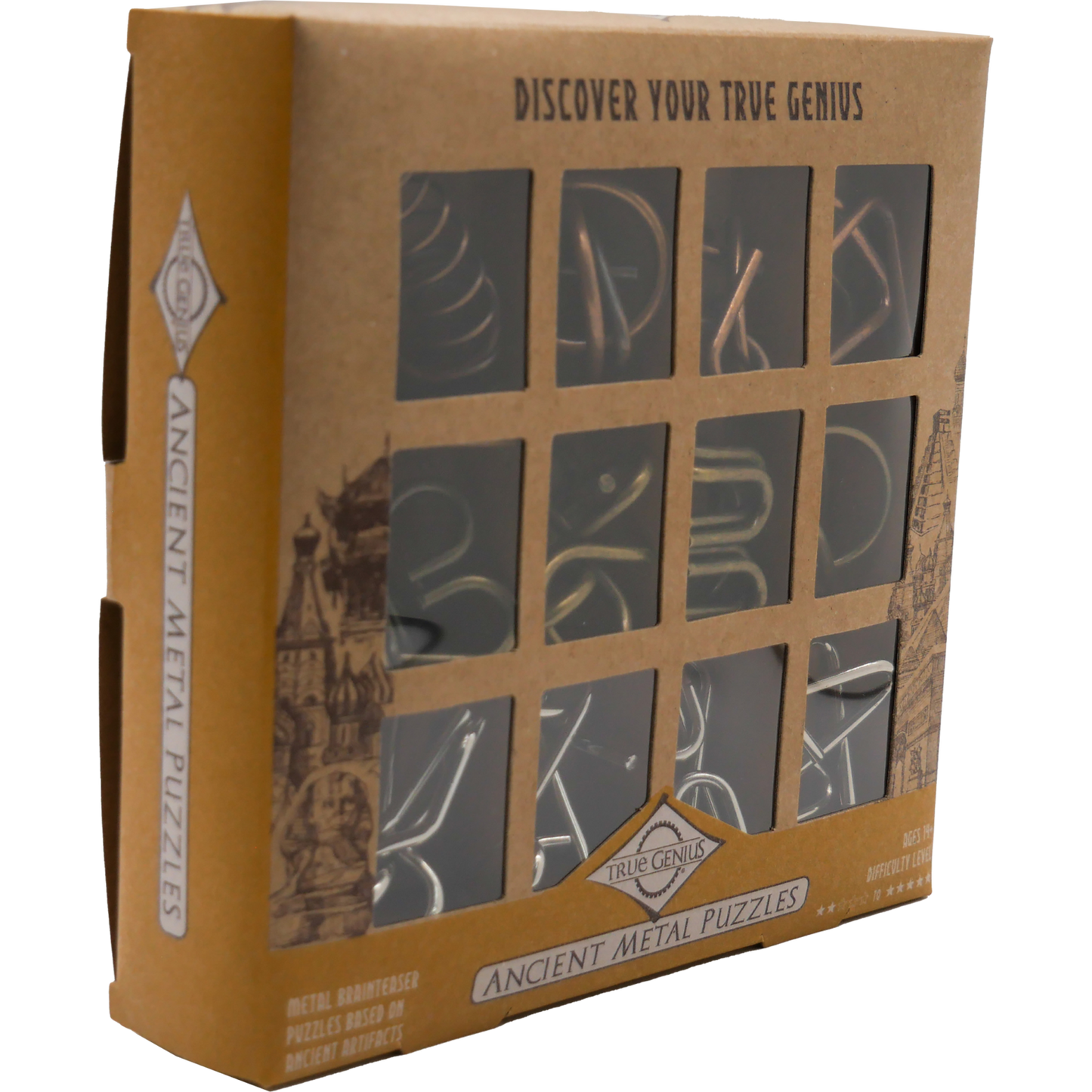 Ancient Metal 12 Piece Brain Teasers