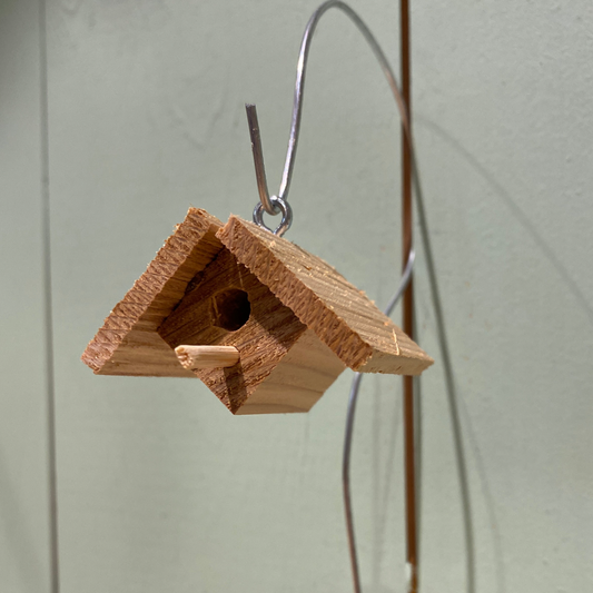 Mosquito House