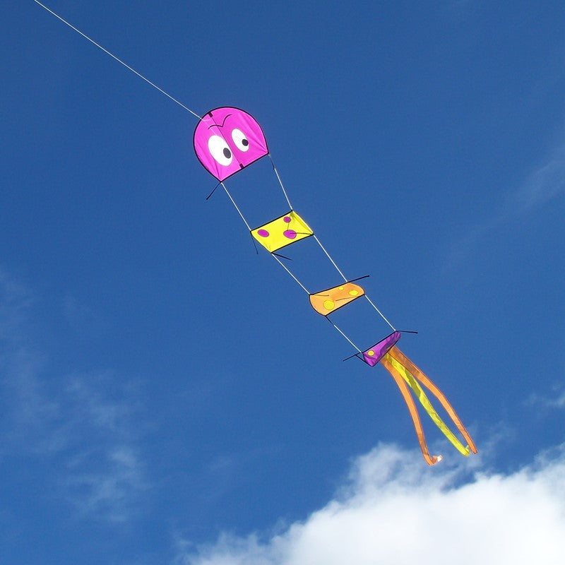 Caterpillar Kite