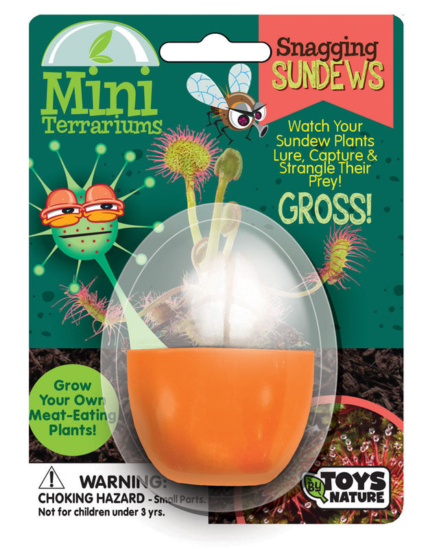 Snagging Sundews (Mini Terrarium) - tinkrLAB