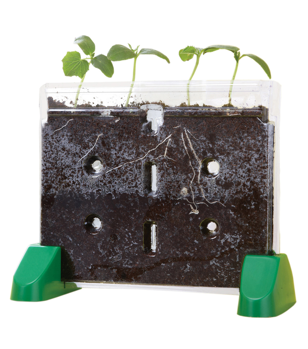 Sprout and Grow Window