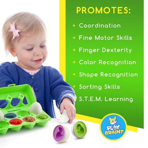 Play Brainy: Dinosaur Matching Eggs - tinkrLAB