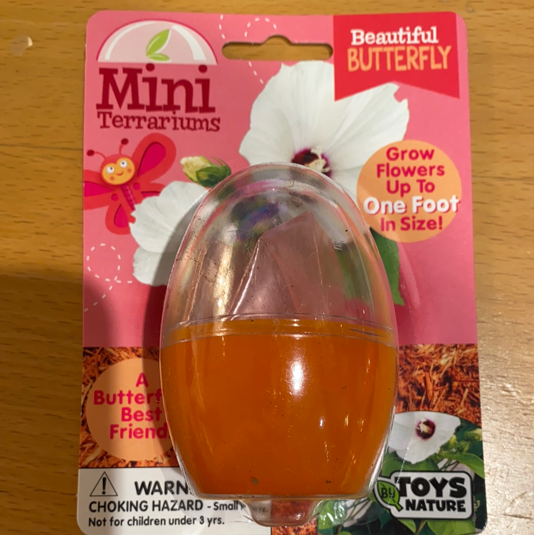 Beautiful Butterfly (Mini Terrarium) - tinkrLAB