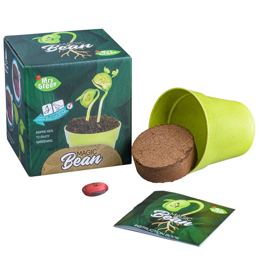 Mrs. Green Magic Bean - tinkrLAB