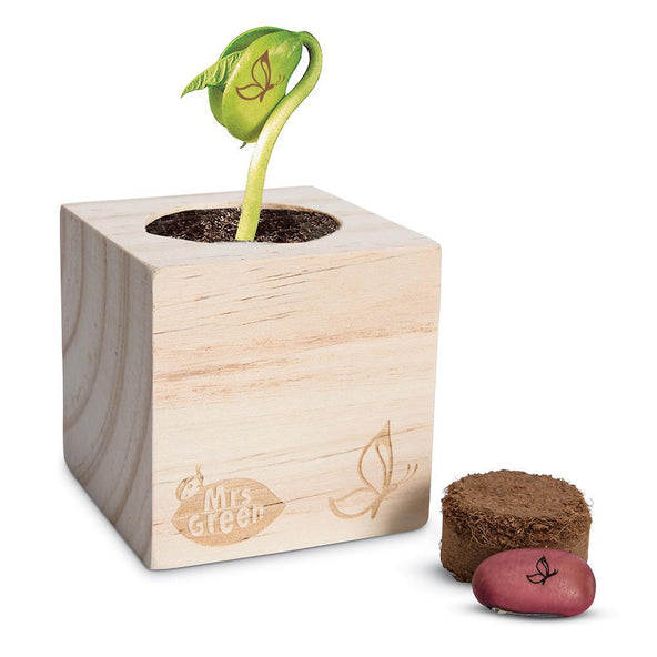 Mrs. Green Magic Bean - tinkrLAB