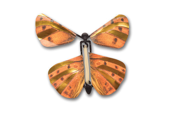 Wind Up Australian Butterflies - tinkrLAB