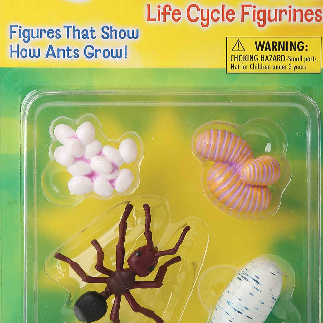 Life Cycle Figurines: Ant