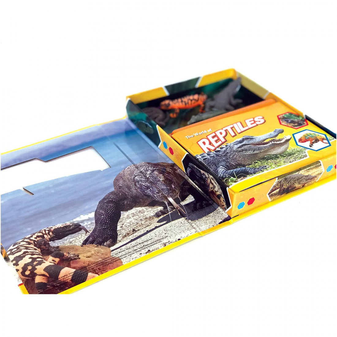 Reptiles: Pocket Explorers