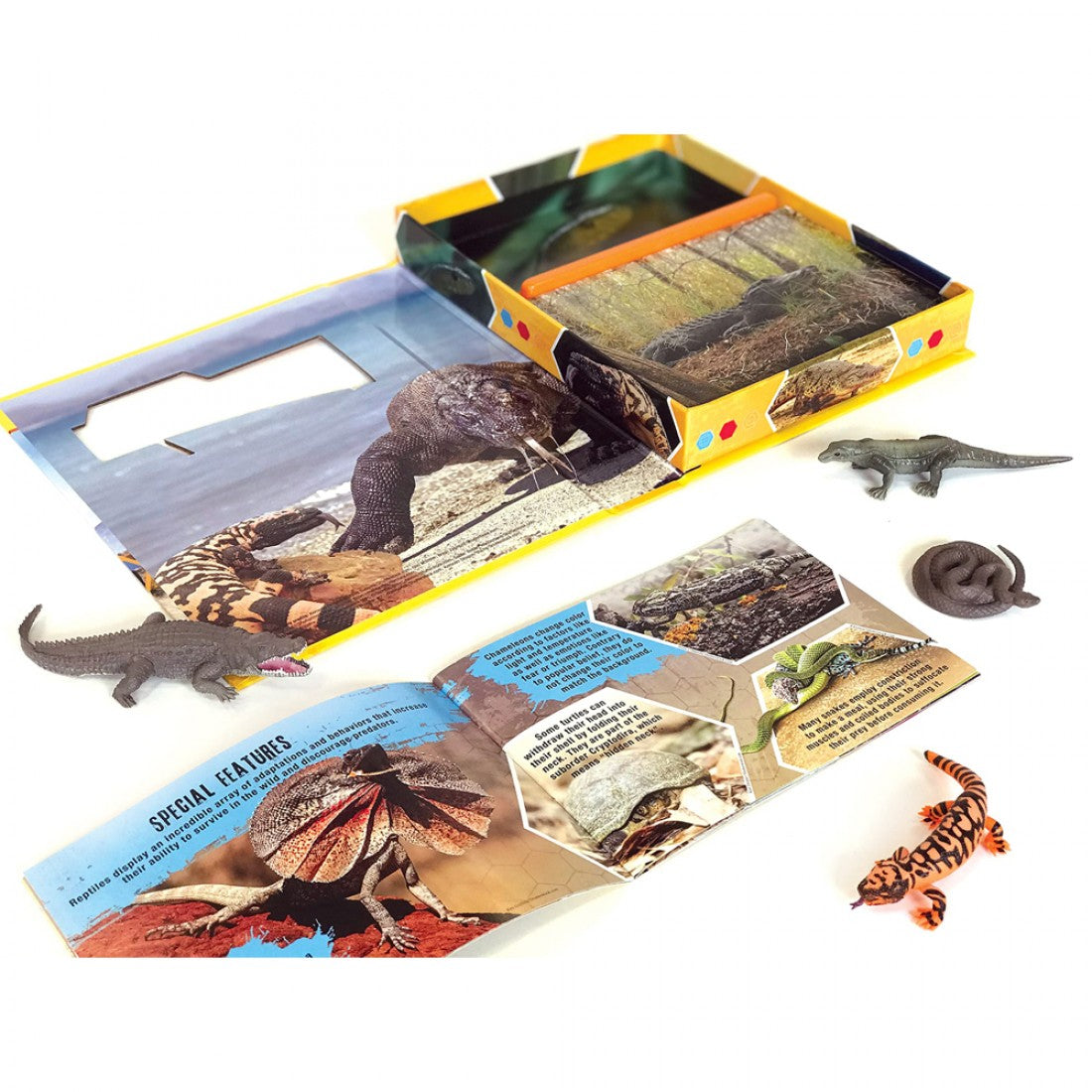 Reptiles: Pocket Explorers
