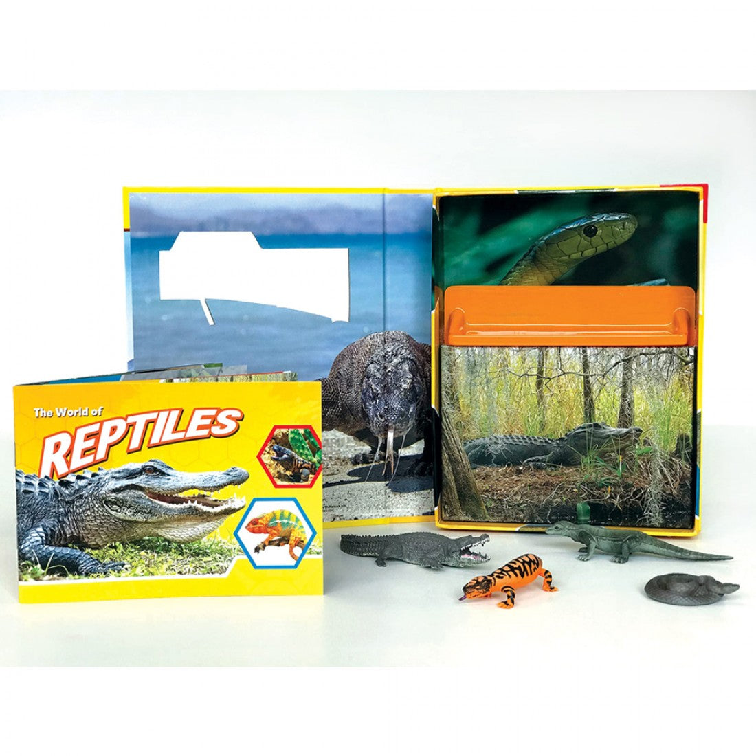 Reptiles: Pocket Explorers
