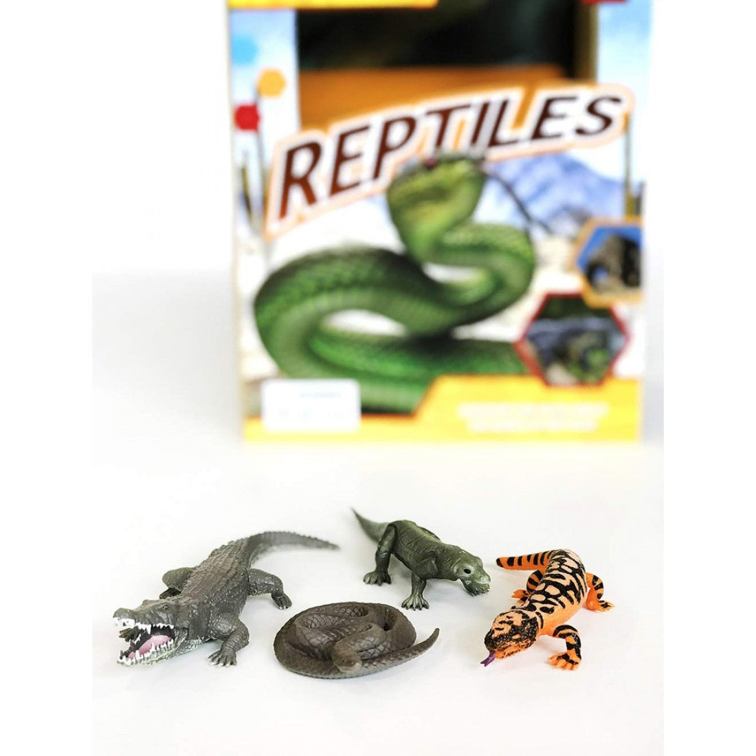 Reptiles: Pocket Explorers