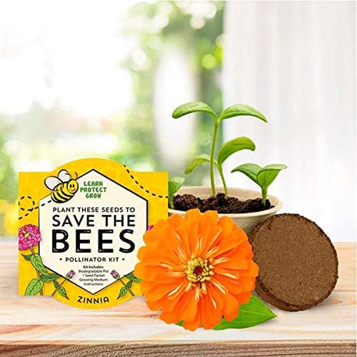 Save The Bees Pollinator Grow Kit