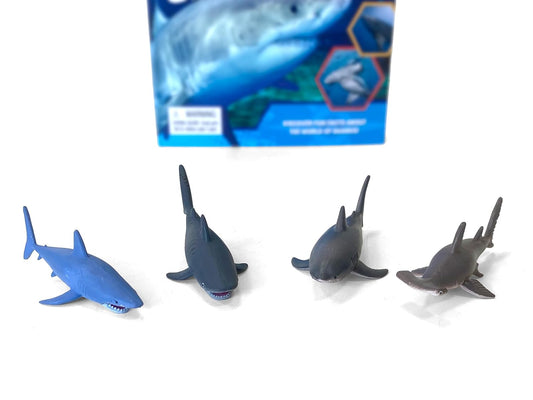 Sharks: Pocket Explorers