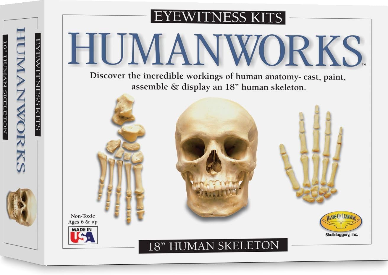 Eyewitness Humanworks