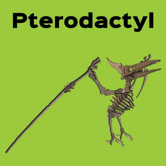 tinkrDIY: tinkrSAURUS - Pterodactyl