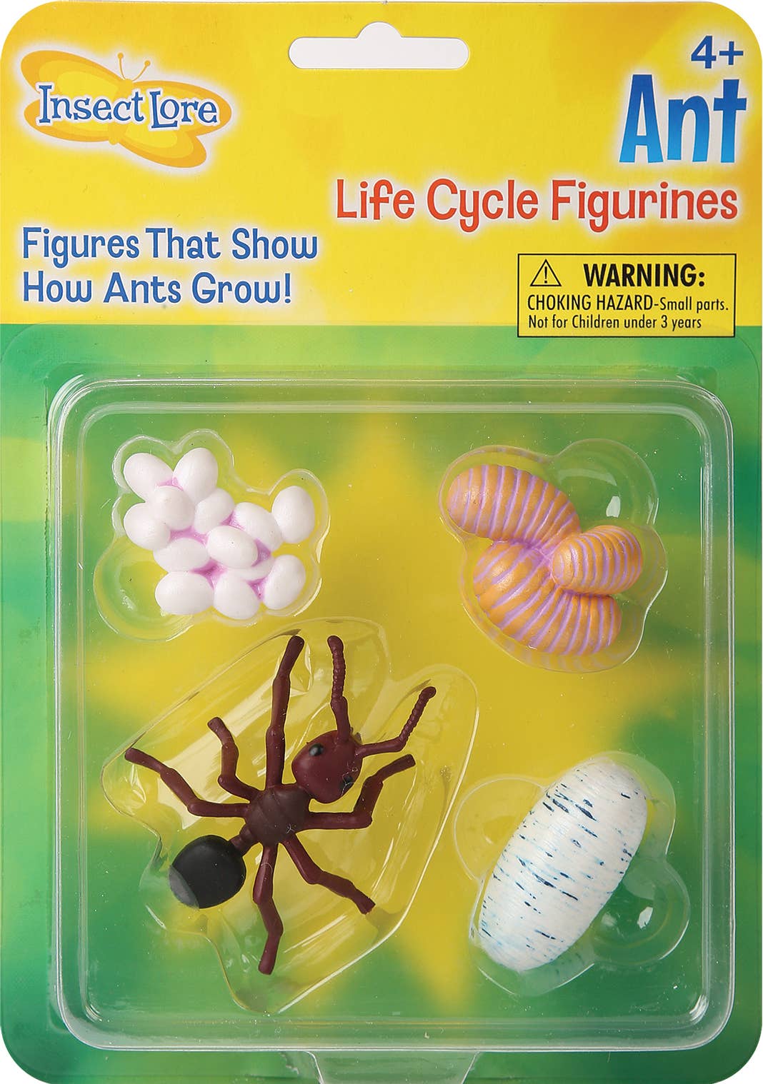 Ant Life Cycle Figurines - tinkrLAB
