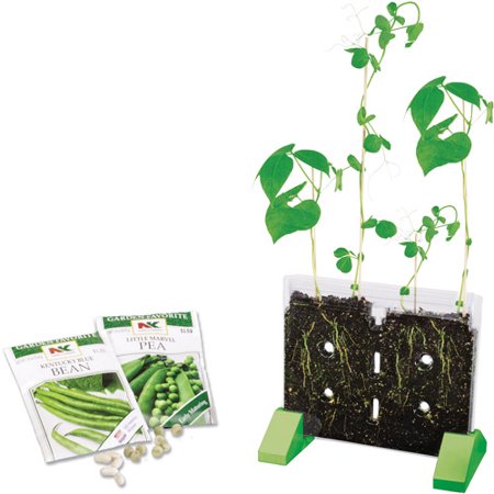 Sprout and Grow Window