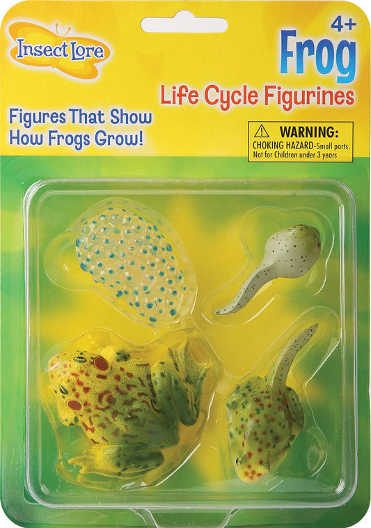 Frog Life Cycle Figurines - tinkrLAB
