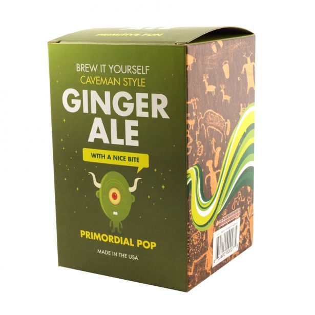Make It Yourself Ginger Ale - tinkrLAB