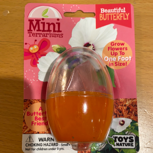 Beautiful Butterfly (Mini Terrarium) - tinkrLAB