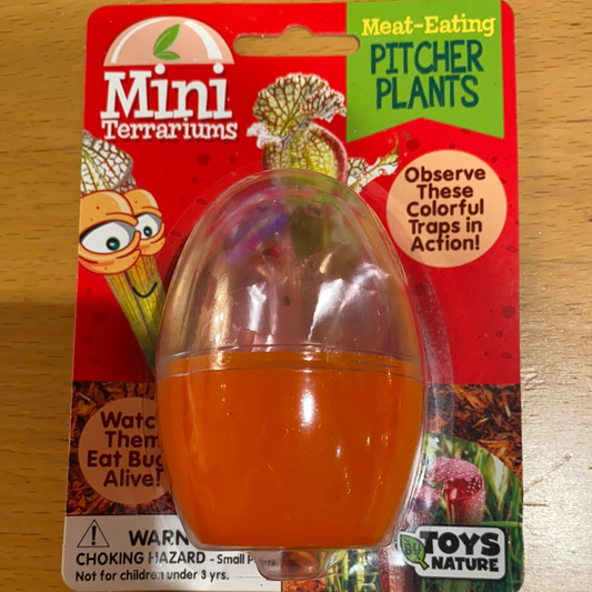 Meat- Eating Pitcher Plant (Mini Terrarium) - tinkrLAB
